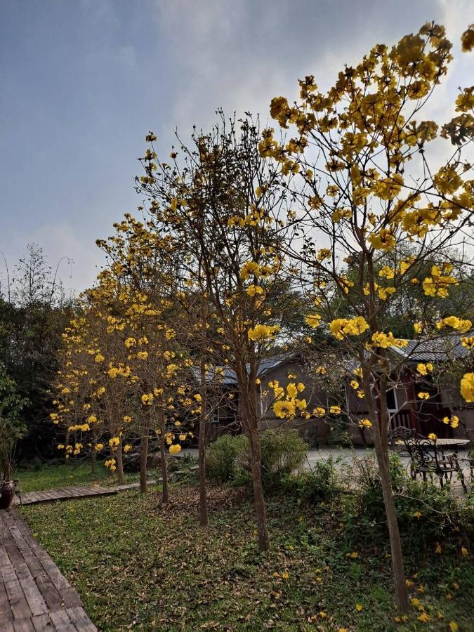 蓬萊生態農場仙山民宿 난좡 외부 사진